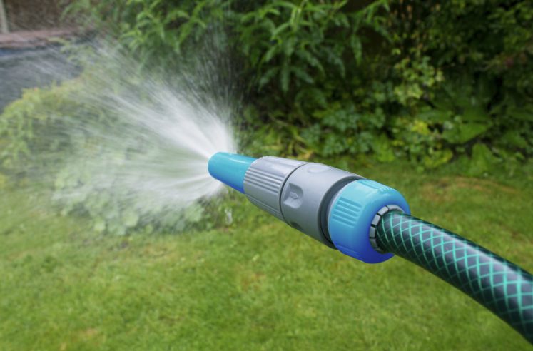 Green garden hose with nozzle spraying lawn